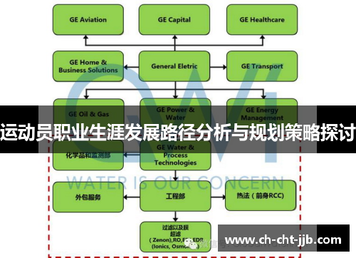 运动员职业生涯发展路径分析与规划策略探讨