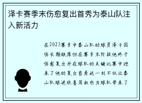 泽卡赛季末伤愈复出首秀为泰山队注入新活力